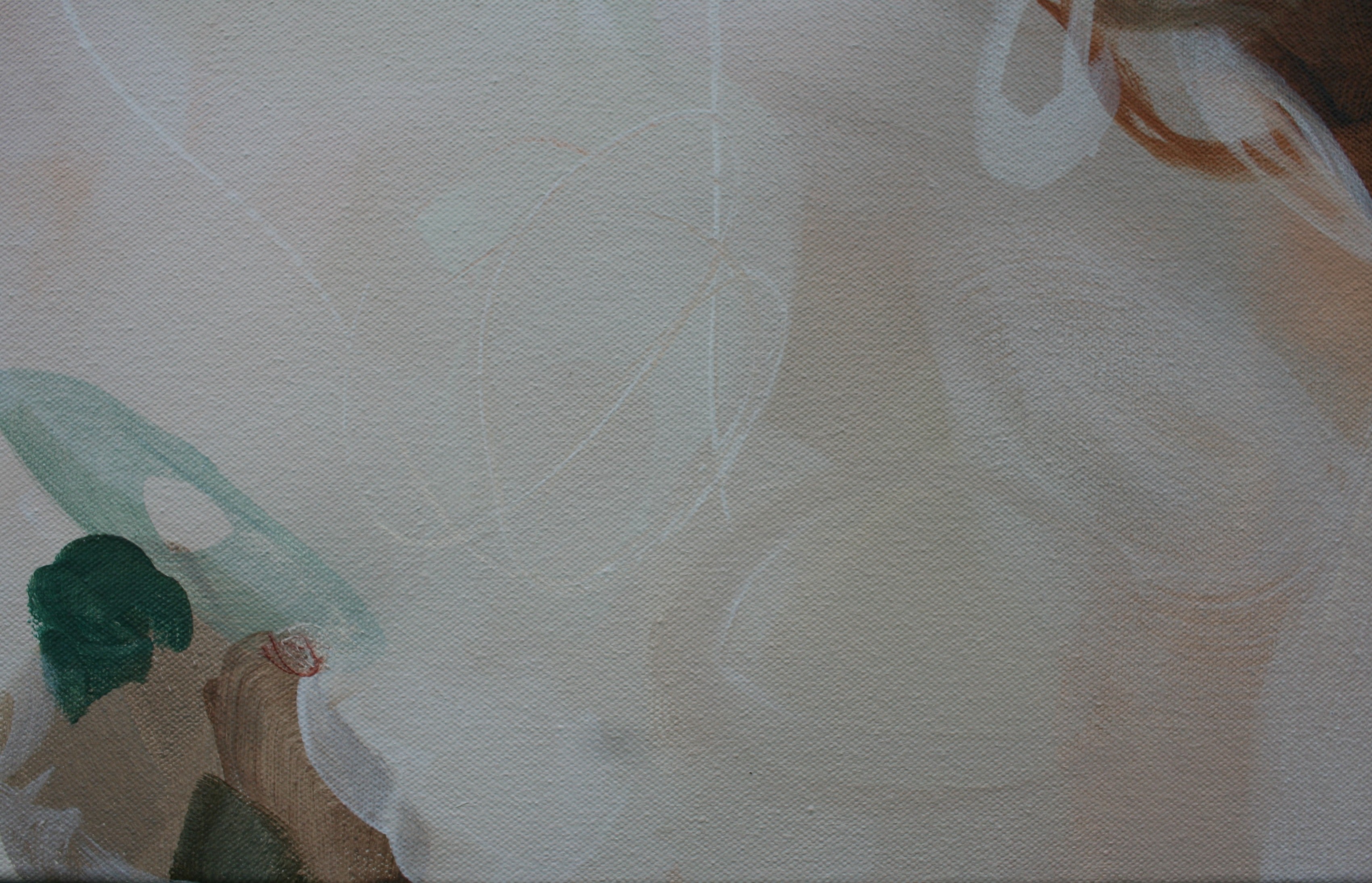 Daisy Cove - Original Painting by Susan Wooler