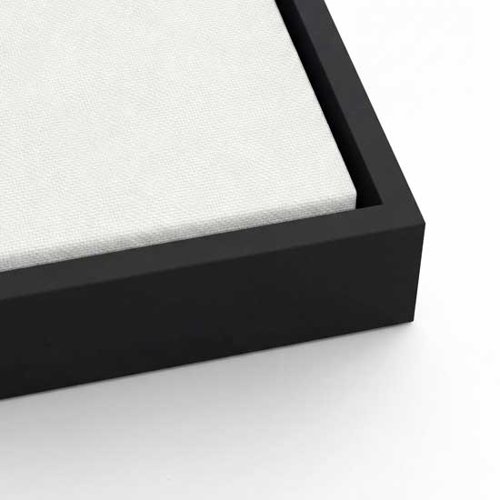 Just Within Reach - Framed Canvas Print by Susan Wooler