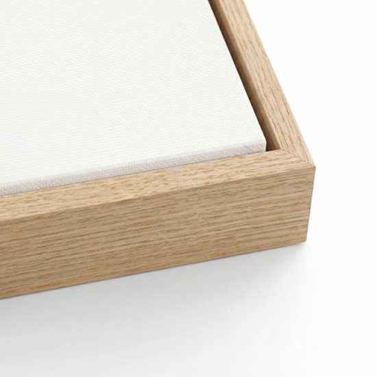 Just Within Reach - Framed Canvas Print by Susan Wooler